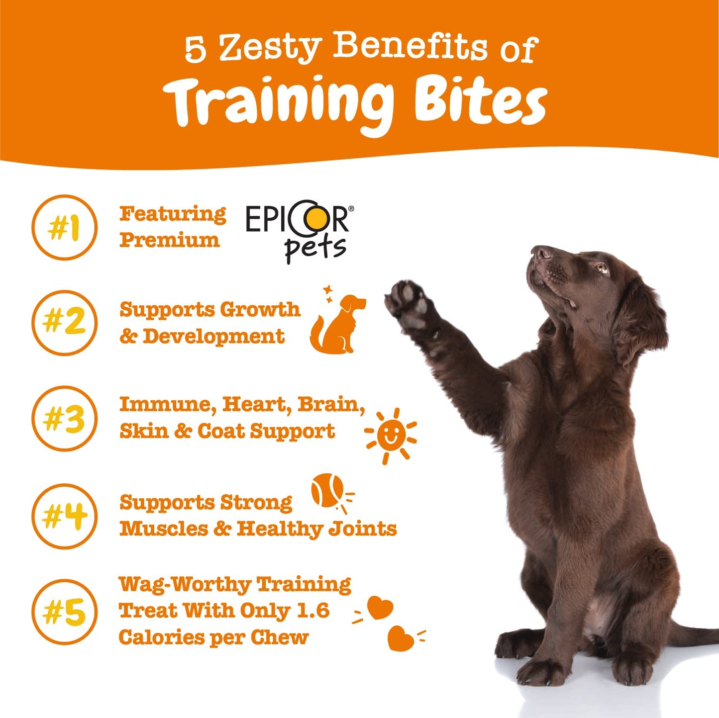 Zesty Paws Training Treats for Dogs & Puppies - Hip, Joint & Muscle Health - Immune, Brain, Heart, Skin & Coat Support - Bites with Fish Oil Omega 3 Fatty Acids with EPA & DHA - Bacon Flavor - 12oz