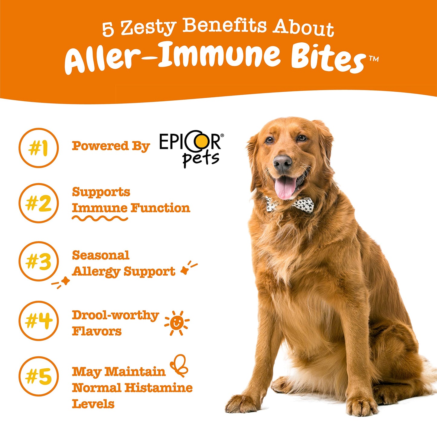 Zesty Paws Dog Allergy Relief - Anti Itch Supplement - Omega 3 Probiotics for Dogs - Digestive Health - Soft Chews for Skin & Seasonal Allergies - with Epicor Pets - Lamb - 90 Count