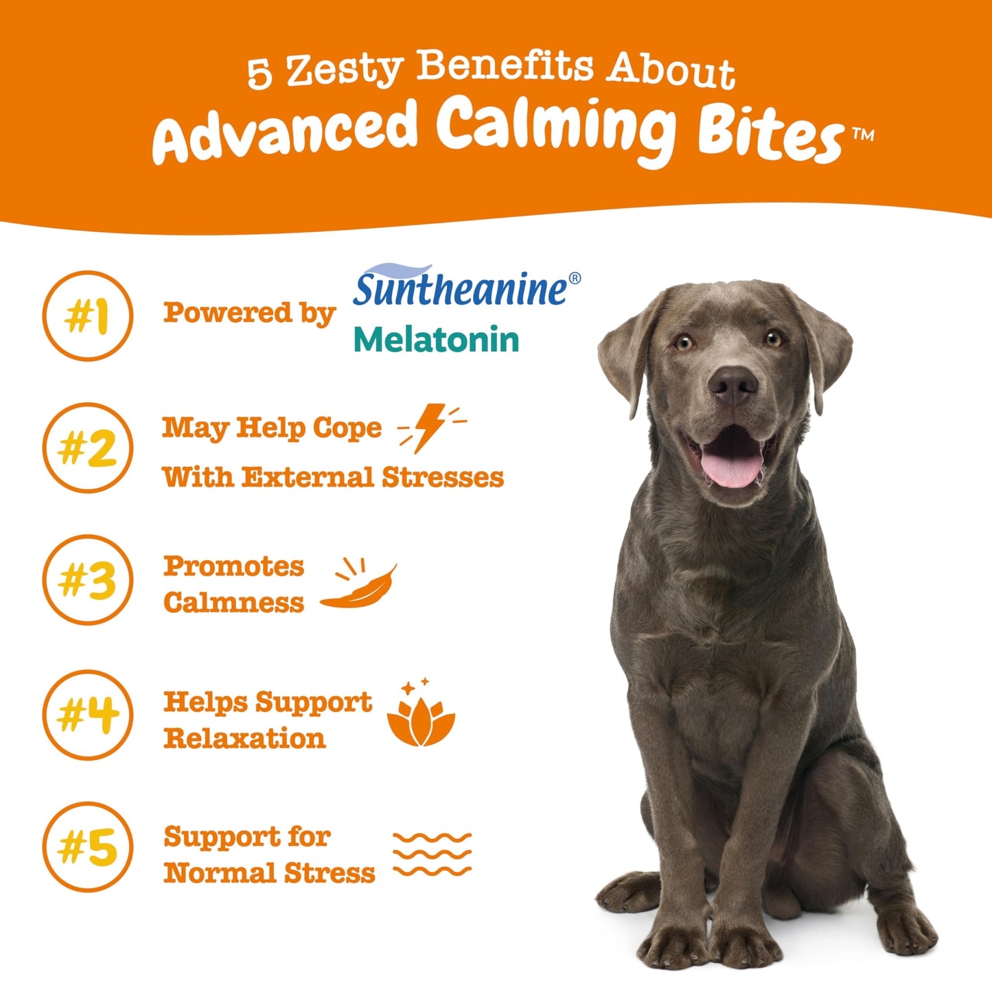 Zesty Paws Calming Chews for Dogs Composure & Relaxation for Everyday Stress & Separation Peanut Butter 90 Count