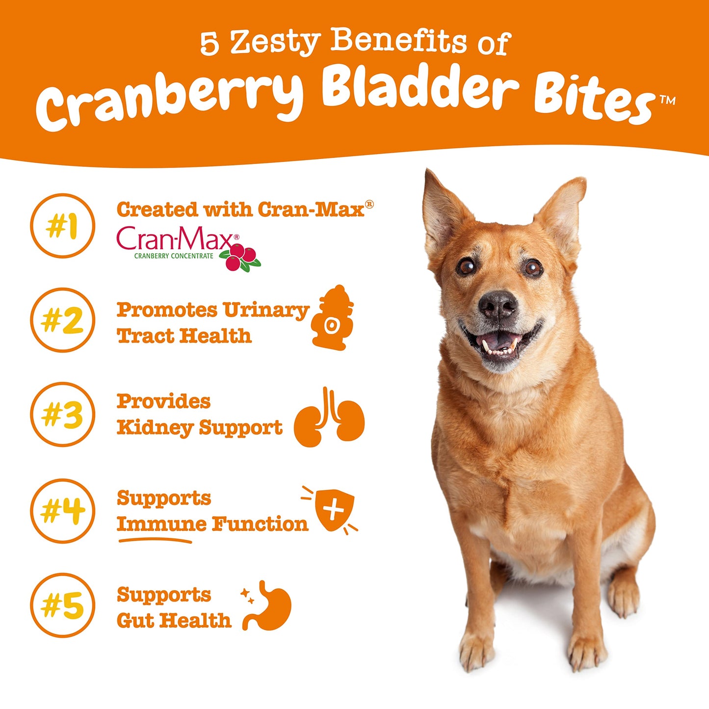 Zesty Paws Cranberry Bladder Bites for Dogs - Kidney & Urinary Tract Health - Soft Chews with D-Mannose, Vitamin B6 & L-Arginine - Immune & Gut Support - Chicken - 90 Count