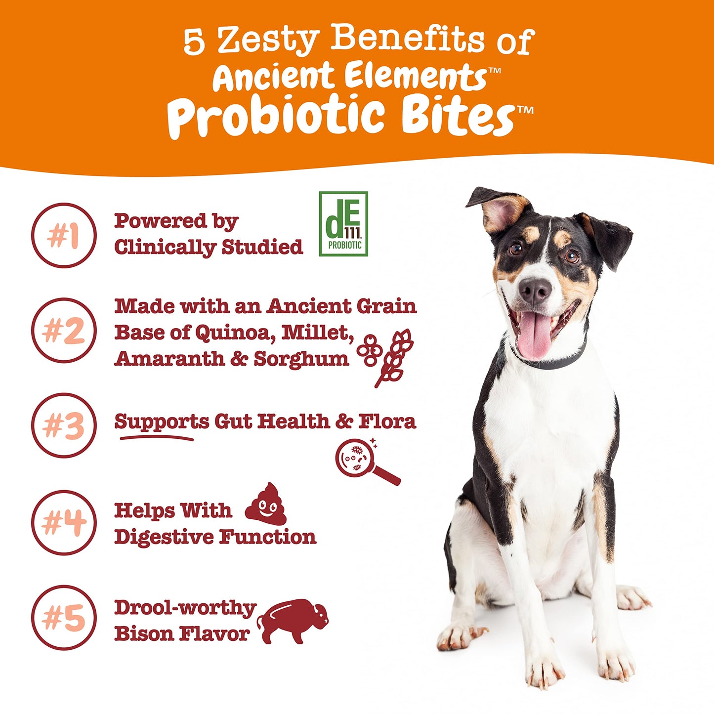 Zesty Paws Probiotics for Dogs - Digestive Enzymes for Gut Flora, Digestive Health, Diarrhea & Bowel Support - Clinically Studied DE111 - Dog Supplement Soft Chew for Pet Immune System - Chicken